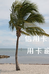 信用卡逾期協(xié)商還款不同意-信用卡逾期協(xié)商還款不同意怎么投訴