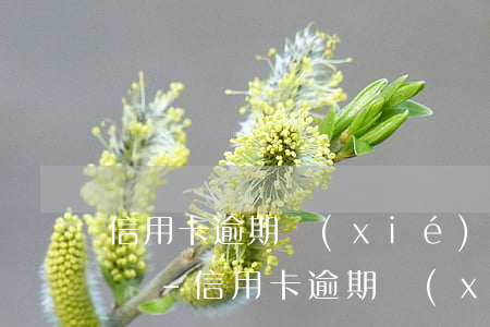 信用卡逾期協(xié)商還款也沒錢怎么辦-信用卡逾期協(xié)商還款也沒錢怎么辦呢