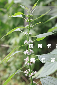 信用卡逾期協(xié)商還款利息減免 信用卡逾期協(xié)商還款利息減免