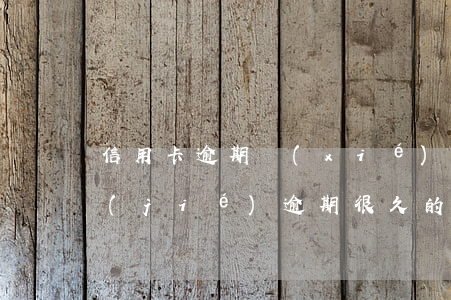 信用卡逾期協(xié)商還款卡永久凍結(jié)(逾期很久的信用卡協(xié)商)