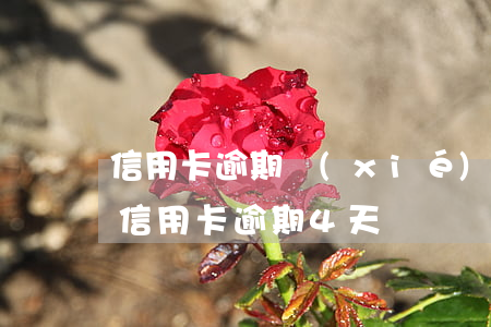 信用卡逾期協(xié)商還款只給24期(信用卡逾期4天)