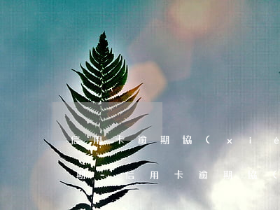 信用卡逾期協(xié)商還款可以分多少期-信用卡逾期協(xié)商還款可以分多少期還款