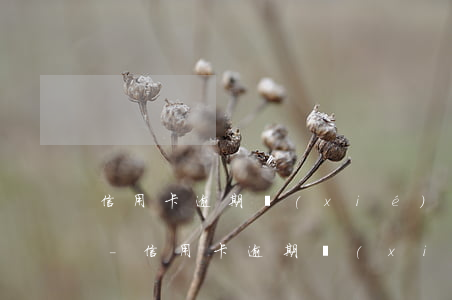 信用卡逾期協(xié)商還款后多久清零-信用卡逾期協(xié)商還款后多久清零征信