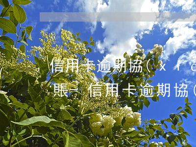 信用卡逾期協(xié)商還款后,多久能清賬-信用卡逾期協(xié)商還款后,多久能清賬啊