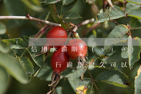 信用卡逾期協(xié)商還款后多久能清賬(銀行逾期很久可以協(xié)商還款嗎)