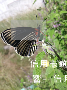 信用卡逾期協(xié)商還款后有什么影響-信用卡逾期協(xié)商還款后有什么影響嗎