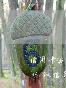 信用卡逾期協(xié)商還款在哪里還(可以和信用卡協(xié)商還款時間嗎)