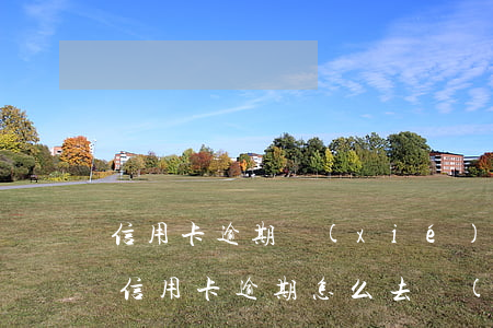 信用卡逾期協(xié)商還款怎么收費(欠信用卡逾期怎么去協(xié)商)