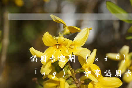 信用卡逾期協(xié)商還款成功經(jīng)驗分享(信用卡逾期協(xié)商還款)