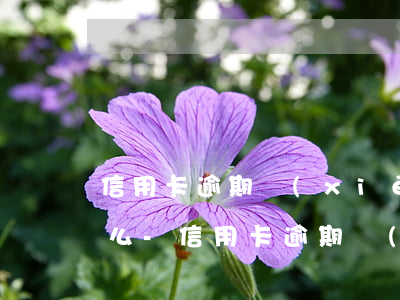信用卡逾期協(xié)商還款成功還能用么-信用卡逾期協(xié)商還款成功還能用么知乎