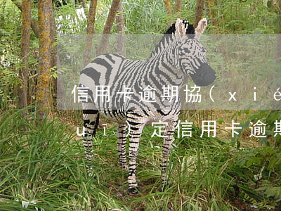 信用卡逾期協(xié)商還款有何規(guī)定（信用卡逾期協(xié)商還款有何規(guī)定）
