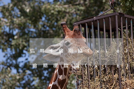 信用卡逾期協(xié)商還款模板(信用卡逾期還款協(xié)議書)
