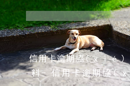 信用卡逾期協(xié)商還款無法準備材料-信用卡逾期協(xié)商還款無法準備材料怎么辦