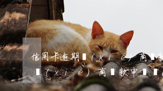 信用卡逾期協(xié)商還款申請書模版(協(xié)商還款申請書范文格式)