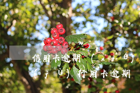 信用卡逾期協(xié)商還款的法律依據(jù) 行用卡逾期協(xié)商還款