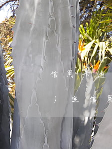 信用卡逾期協(xié)商還款規(guī)定(信用卡逾期協(xié)商一次性還款還要簽合同嗎?)