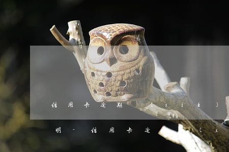 信用卡逾期協(xié)商還款逾期原因說明-信用卡逾期協(xié)商還款逾期原因說明怎么寫
