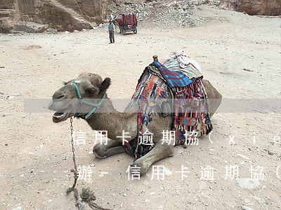 信用卡逾期協(xié)商還款還不上怎么辦-信用卡逾期協(xié)商還款還不上怎么辦呢