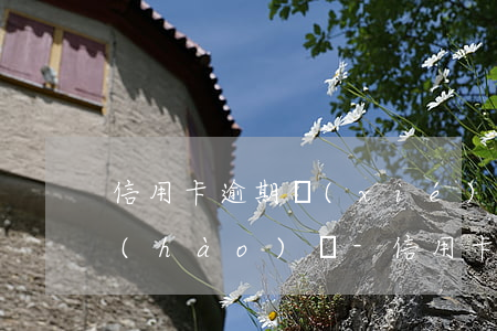信用卡逾期協(xié)商還款電話多少號(hào)碼-信用卡逾期協(xié)商還款電話多少號(hào)碼啊
