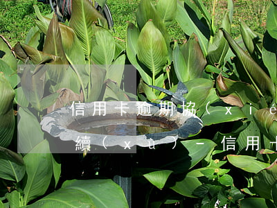 信用卡逾期協(xié)商還款需要什么手續(xù)-信用卡逾期協(xié)商還款需要什么手續(xù)費(fèi)