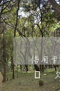 信用卡逾期協(xié)商還款額度還能刷嗎-欠信用卡能協(xié)商嗎