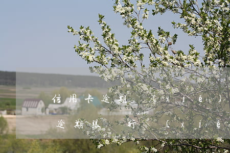 信用卡逾期協(xié)商銀行拒絕(信用卡逾期跟銀行協(xié)商不同意怎么辦)
