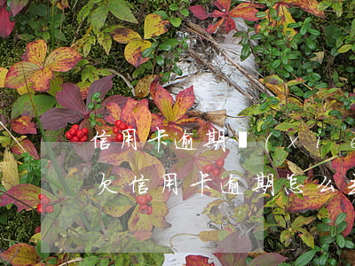 信用卡逾期協(xié)商銀行需要證明-欠信用卡逾期怎么去協(xié)商