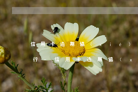 信用卡逾期協(xié)商開低保證明行不行-信用卡逾期協(xié)商開低保證明行不行呀