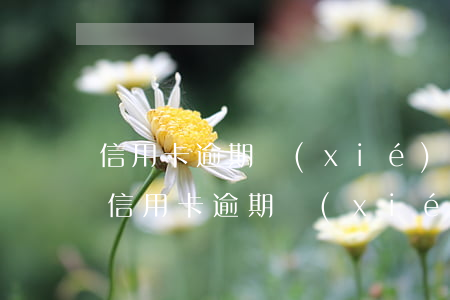信用卡逾期協(xié)商需要本人去嗎-信用卡逾期協(xié)商需要本人去嗎