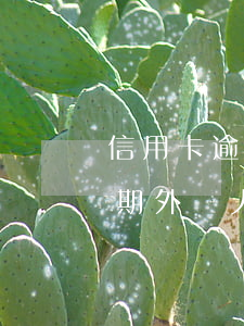 信用卡逾期協(xié)村委外訪(信用卡逾期外訪人員上門)