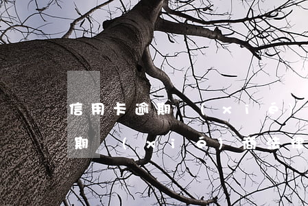 信用卡逾期協(xié)議我愛卡(信用卡逾期協(xié)商法律規(guī)定)