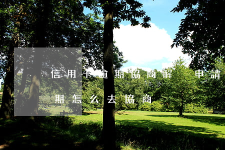 信用卡逾期協商解決申請書范文 欠信用卡逾期怎么去協商