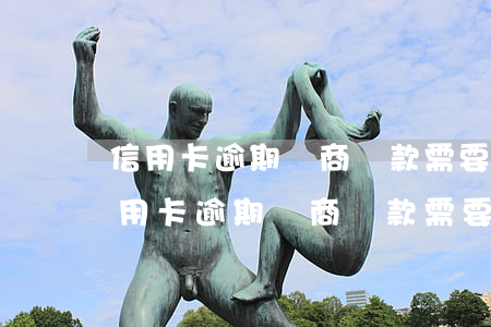 信用卡逾期協商還款需要什么證明材料-信用卡逾期協商還款需要什么證明材料呢