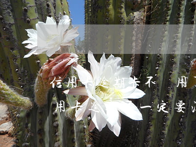 信用卡逾期卡不讓用了怎么回事-為什么信用卡逾期了一定要注銷(xiāo)呢