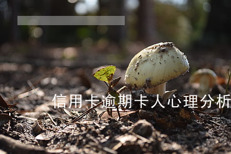 信用卡逾期卡人心理分析(信用卡逾期可怕嗎)