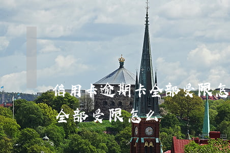 信用卡逾期卡全部受限怎么辦(信用卡逾期卡全部受限怎么辦)