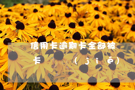 信用卡逾期卡全部被凍結(jié)了(逾期卡會凍結(jié)嗎)