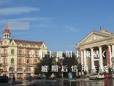 信用卡逾期卡凍結(jié)了怎么還款嗎-逾期后信用卡被凍結(jié)