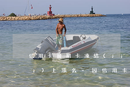 信用卡逾期卡凍結(jié)利息會(huì)上漲么-因信用卡逾期凍結(jié)銀行卡