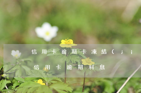 信用卡逾期卡凍結(jié)利息會上漲么 信用卡 逾期利息