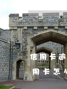 信用卡逾期卡凍結后怎么還款(逾期凍結的信用卡怎么解凍)