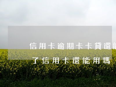 信用卡逾期卡卡貸還能貸款嗎(銀行貸款逾期了信用卡還能用嗎)