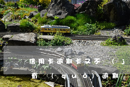 信用卡逾期卡又不見(jiàn)了怎么辦(有過(guò)逾期辦信用卡辦不下來(lái)怎么辦)