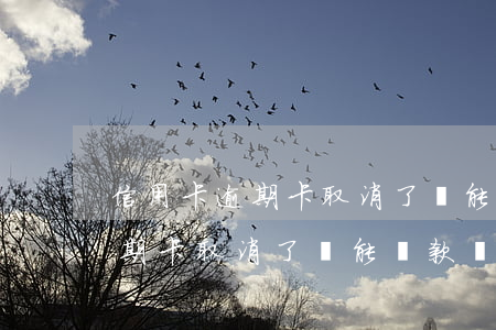 信用卡逾期卡取消了還能還款嗎-信用卡逾期卡取消了還能還款嗎怎么辦
