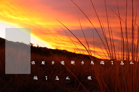信用卡逾期卡失效了怎么辦(信用卡逾期卡失效了怎么辦理)