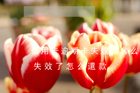 信用卡逾期卡失效了怎么還款 信用卡逾期卡失效了怎么還款