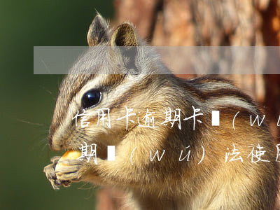 信用卡逾期卡無(wú)法使用(我信用卡逾期無(wú)法使用了怎么辦)