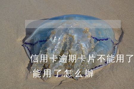 信用卡逾期卡片不能用了(信用卡逾期還完不能用了怎么辦)