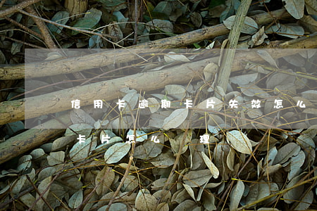 信用卡逾期卡片失效怎么還款(過期的信用卡卡片怎么處理)