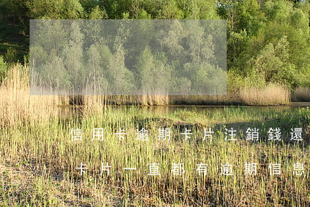信用卡逾期卡片注銷錢還上(逾期后還清注銷卡片一直都有逾期信息嗎?)